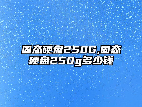 固態(tài)硬盤250G,固態(tài)硬盤250g多少錢