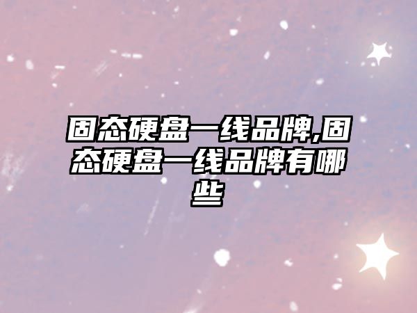 固態(tài)硬盤(pán)一線品牌,固態(tài)硬盤(pán)一線品牌有哪些