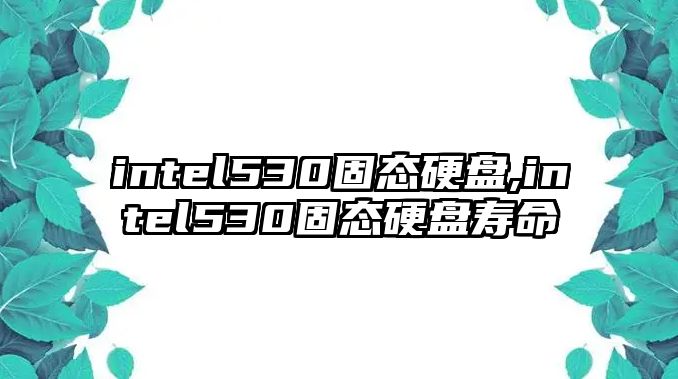 intel530固態(tài)硬盤,intel530固態(tài)硬盤壽命