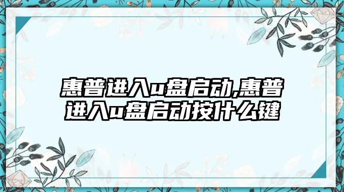 惠普進(jìn)入u盤啟動,惠普進(jìn)入u盤啟動按什么鍵