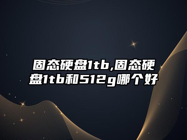 固態(tài)硬盤1tb,固態(tài)硬盤1tb和512g哪個(gè)好