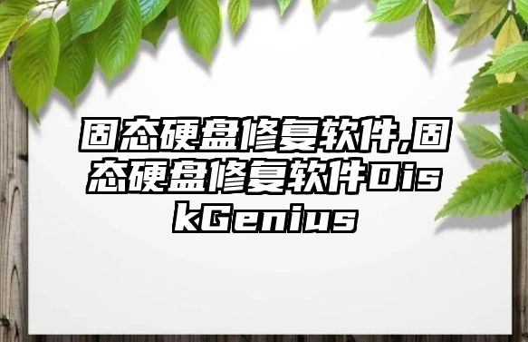 固態(tài)硬盤修復(fù)軟件,固態(tài)硬盤修復(fù)軟件DiskGenius