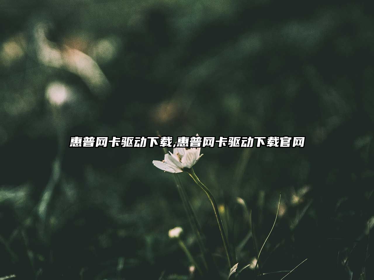 惠普網(wǎng)卡驅(qū)動下載,惠普網(wǎng)卡驅(qū)動下載官網(wǎng)