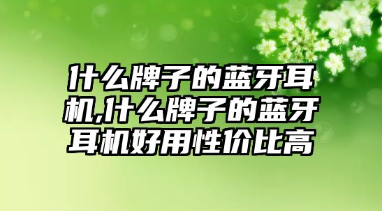 什么牌子的藍(lán)牙耳機(jī),什么牌子的藍(lán)牙耳機(jī)好用性價(jià)比高