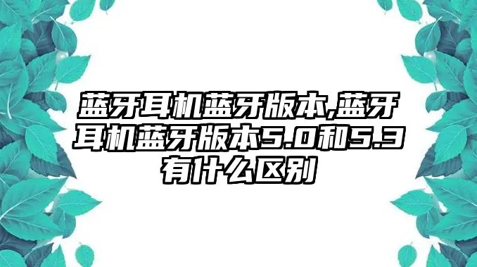 藍(lán)牙耳機(jī)藍(lán)牙版本,藍(lán)牙耳機(jī)藍(lán)牙版本5.0和5.3有什么區(qū)別