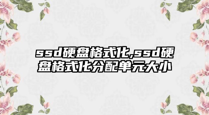 ssd硬盤格式化,ssd硬盤格式化分配單元大小