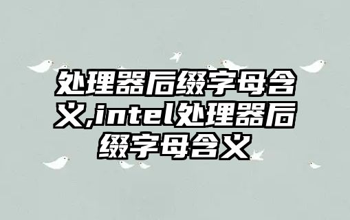 處理器后綴字母含義,intel處理器后綴字母含義