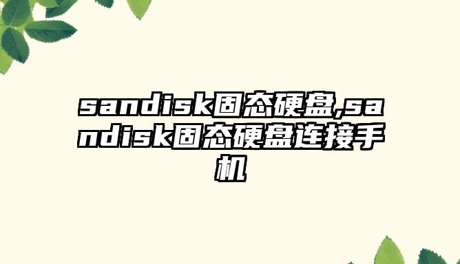 sandisk固態(tài)硬盤,sandisk固態(tài)硬盤連接手機(jī)