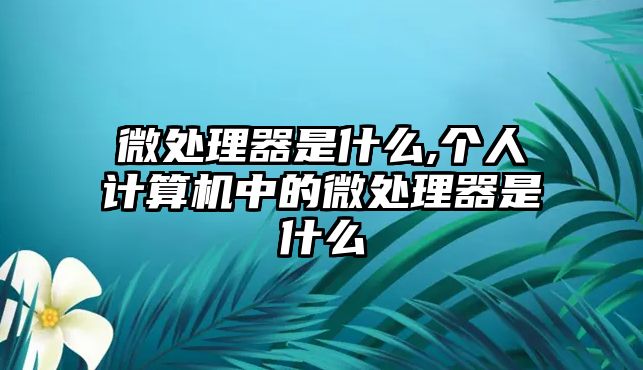 微處理器是什么,個人計算機(jī)中的微處理器是什么