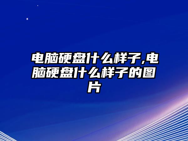 電腦硬盤什么樣子,電腦硬盤什么樣子的圖片