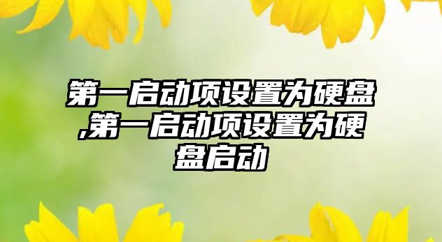 第一啟動項設(shè)置為硬盤,第一啟動項設(shè)置為硬盤啟動