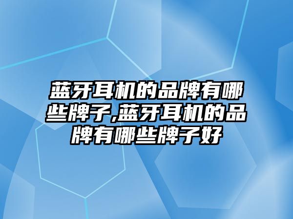 藍(lán)牙耳機(jī)的品牌有哪些牌子,藍(lán)牙耳機(jī)的品牌有哪些牌子好